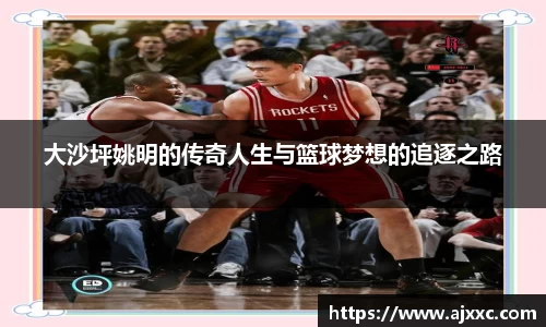 大沙坪姚明的传奇人生与篮球梦想的追逐之路